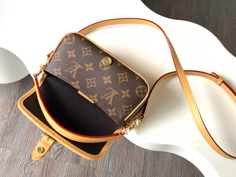 LV Satchel bags